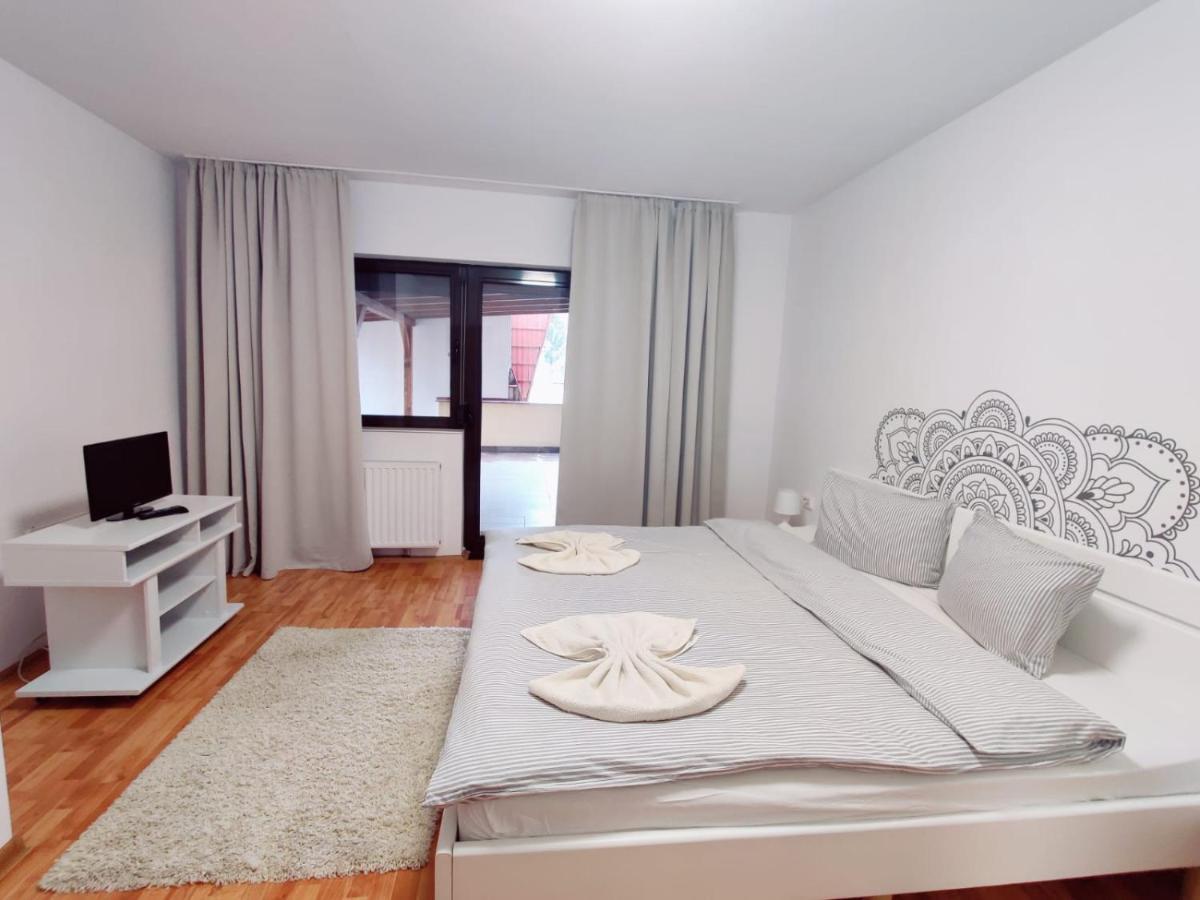 Penthouse Daniela - 3 In A Spacious Apartment Targu Mures